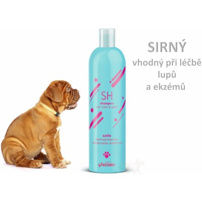 Record Šampon PROFESIONAL zolfo sirný 250 ml – Zboží Mobilmania