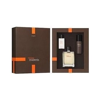 Hermés Terre D'Hermés EDT 100 ml + balzám po holení 40 ml + pěna na holení 50 ml dárková sada