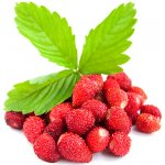 Dekang Classic Wild Strawberry 10 ml 6 mg – Sleviste.cz