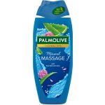 Palmolive Wellness Massage sprchový gel 500 ml – Sleviste.cz