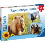 Ravensburger Koně 3 x 49 dílků – Hledejceny.cz