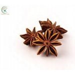 TRS Badyán Celý Star Anise 50 g – Sleviste.cz