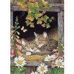 Cobble Hill Sisters 500 dílků – Sleviste.cz