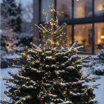 Solight LED řetěz s hvězdou na vánoční strom, výška 2,1m, 212 LED, IP44 – Hledejceny.cz