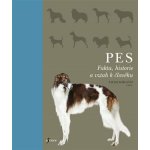 Albi Kouzelné čtení Minikniha Pes – Hledejceny.cz