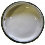 Tarrago krém na boty Bílý na 50 ml – Sleviste.cz