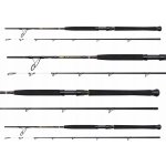 Penn Wrath II Boat 2,13 m 30-50 lb 2 díly – Sleviste.cz