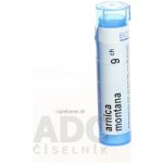 ARNICA MONTANA POR 9CH GRA 4G – Zboží Dáma