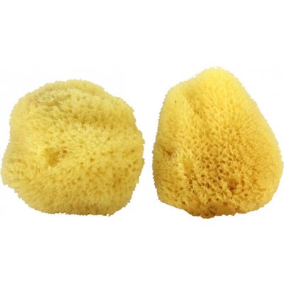 Mořská houba, přírodní – Hledejceny.cz