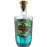 Santa Ana 42,3% 0,7 l (holá láhev) – Hledejceny.cz