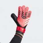 adidas Predator Training JH3805 – Hledejceny.cz