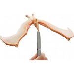 Brainstorm Toys Úžasný balancující Pteranodon – Hledejceny.cz