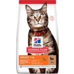 Hill's Science Plan Feline Adult Lamb & Rice 1,5 kg – Hledejceny.cz