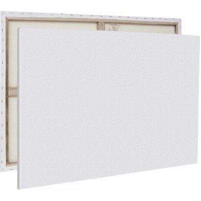 canvas Malířské plátno, 100 × 70 cm – Sleviste.cz