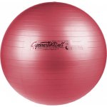 Ledragomma Gymnastik Ball Maxafe 65cm – Zboží Mobilmania