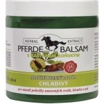Herbal Extract masážní chladivý bylinný gel s kaštanem koňským 500 ml – Zboží Dáma