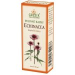 Grešík Echinacea tinktura kapky 50 ml – Hledejceny.cz