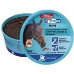 Horslyx Mint 0,65 kg – Zboží Dáma