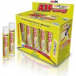 Amix ATP Energy Liquid pomeranč 10 x 25 ml – Zbozi.Blesk.cz