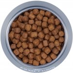 Royal Canin Maine Coon Adult 2 x 10 kg – Hledejceny.cz