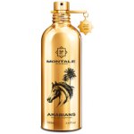 Montale Arabians parfémovaná voda unisex 100 ml – Hledejceny.cz