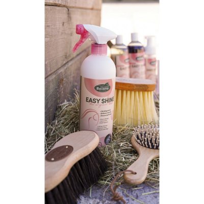 RAVENE Lesk EASY SHINE ECO 750 ml – Zboží Dáma