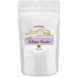 Bohemia Holistic Collagen powder 300 g – Hledejceny.cz