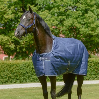 Bucas Liner Quilt Stay dry podšívka XL krk navy – Zboží Dáma