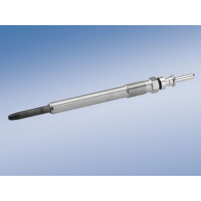 BOSCH 0 250 202 042 Zhavici svicka (0250202042) – Hledejceny.cz