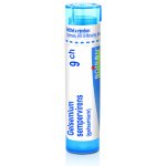 GELSEMIUM SEMPERVIRENS POR 9CH GRA 1X4G – Hledejceny.cz