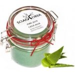 Soaphorie tělový peeling čistá Aloe Vera 250 ml – Hledejceny.cz