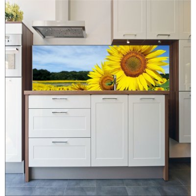 WEBLUX Fototapeta do kuchyně fólie Tournesols - 8672115 slunečnice blankyt slunce rozměry 180 x 60 cm – Zboží Mobilmania