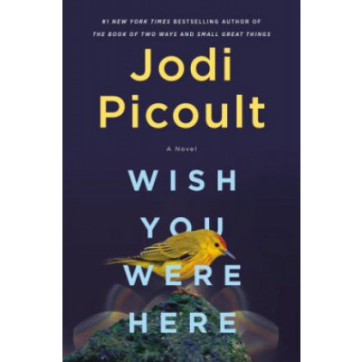 Wish You Were Here - Jodi Picoult – Zboží Mobilmania