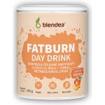 Blendea Fatburn Day Drink 100 g – Zboží Dáma