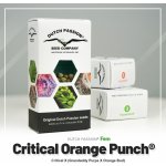 Dutch Passion Critical Orange Punch semena neobsahují THC 3 ks – Zboží Dáma