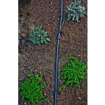 J+J závlahové systémy Kapková závlaha do skleníku 2,5 x 6 m S004 – Zboží Dáma