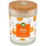 Air Wick Essential Oils Blood Orange & Incense 185 g – Zboží Mobilmania