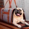 Potřeby pro cestování se psem Vsepropejska taška pro psa 39 x 25 cm