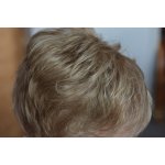 Exclusive wigs by Lubo paruka New York honey blonde – Zboží Mobilmania