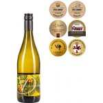 Víno Drábek Muškát moravský 2025 10,5% 0,75 l (holá láhev) – Sleviste.cz