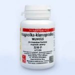 Sinecura Magnolka klanopraška Schizandra 20 g instantní prášek – Hledejceny.cz