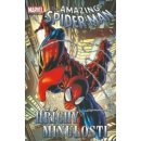 Spider-man 7 - Hříchy minulosti – Straczynski Michael J., Deodato Mike jr.,