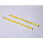 Koh i Noor Polycolor žluť citrónová 3800/504 – Zboží Živě