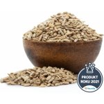 GRIZLY Slunečnice jádra loupaná 1 kg – Sleviste.cz