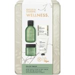 Baylis & Harding Wellness sprchový gel 100 ml + tělové máslo 50 ml + krém na ruce 30 ml + tuhé mýdlo 25 g – Zboží Dáma