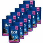 Brit Premium Cat Chicken & Turkey 12 x 100 g – Zboží Mobilmania