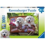 Ravensburger Oddych štěňata v kufru 100 dílků – Zboží Dáma