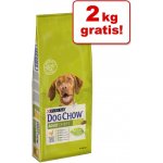 Purina Dog Chow Adult Light Turkey 14 kg – Zboží Mobilmania