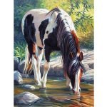 Norimpex diamantové malování 30 x 40 cm strakáč u vody – Hledejceny.cz