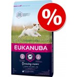 Eukanuba Mature & Senior Lamb 12 kg – Zboží Mobilmania